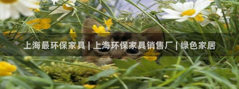 杏耀登陆测速