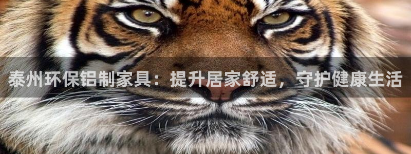 杏耀平台网页版