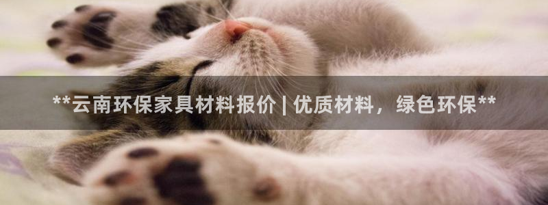 杏耀平台测速登录
