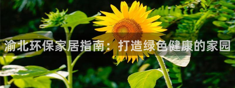 杏耀平台手机下载