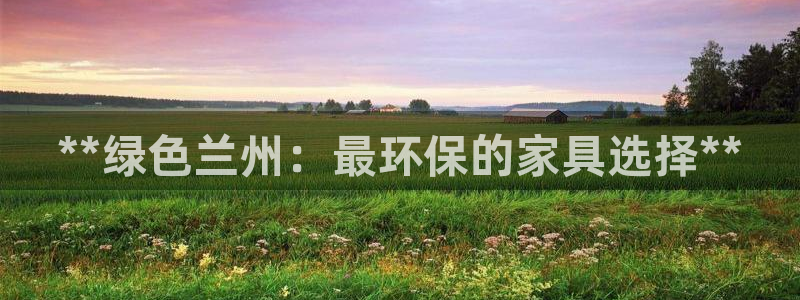 杏耀平台代理登录网址是什么：**绿色兰州：最环保的家具选择*