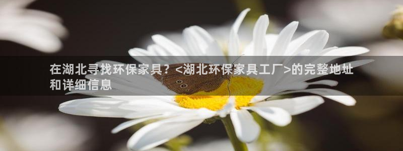 杏耀登陆网站