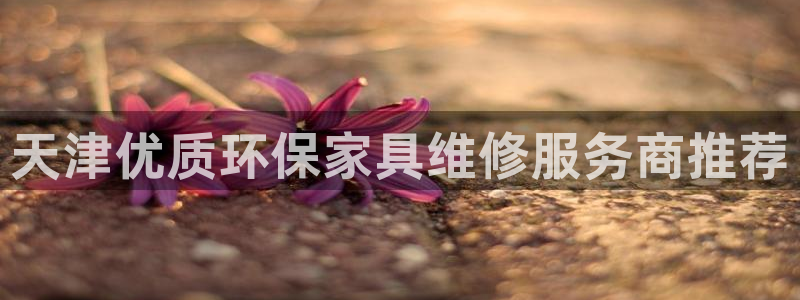 杏耀官网登录：天津优质环保家具维修服务商推荐