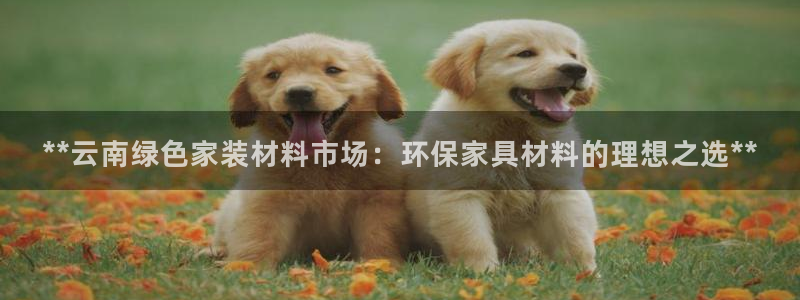 杏耀平台可以提款吗