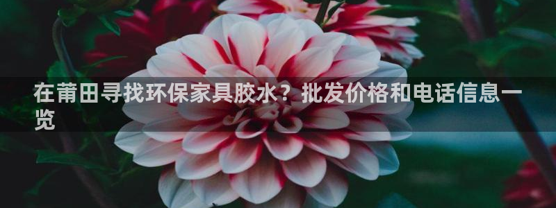 杏耀平台代理怎么赚钱的