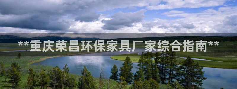 杏耀管网登录：**重庆荣昌环保家具厂家综合指南**