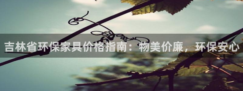 杏耀网址官网：吉林省环保家具价格指南：物美价廉，环保安心