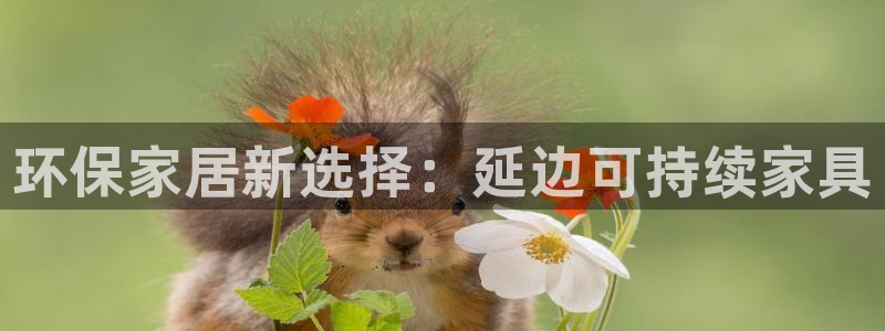 杏耀登入官网：环保家居新选择：延边可持续家具