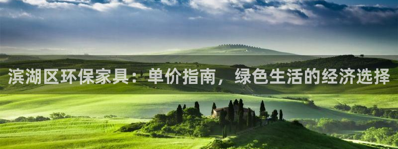 杏耀管网登录：滨湖区环保家具：单价指南，绿色生活的经济选择