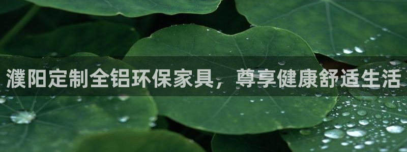 杏耀官网网站：濮阳定制全铝环保家具，尊享健康舒适生活