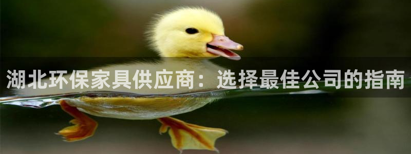 杏耀平台登录首页：湖北环保家具供应商：选择最佳公司的指南