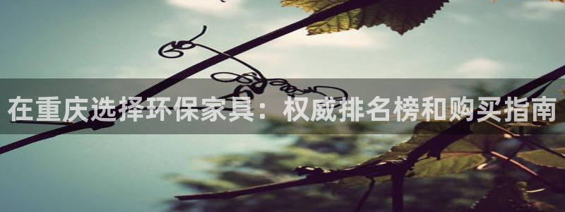 杏耀注册主管：在重庆选择环保家具：权威排名榜和购买指南