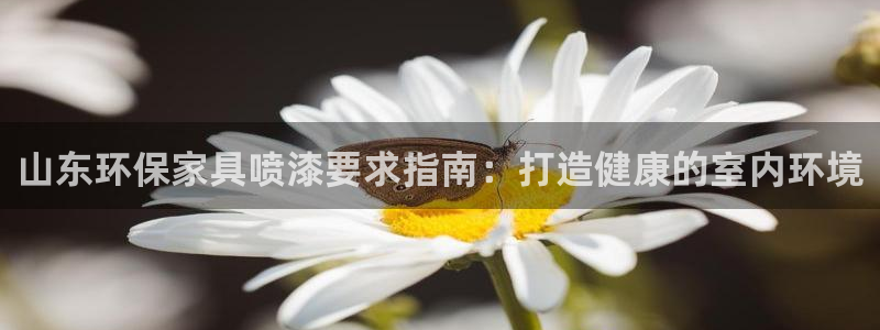 杏耀app怎样申请：山东环保家具喷漆要求指南：打造健康的室内