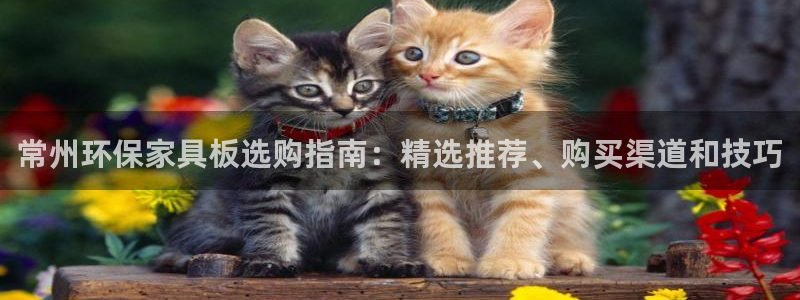 杏耀平台网站是什么