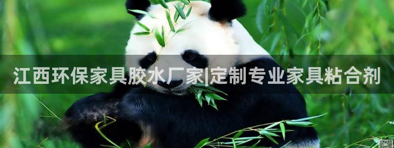 杏耀测速注册：江西环保家具胶水厂家|定制专业家具粘合剂