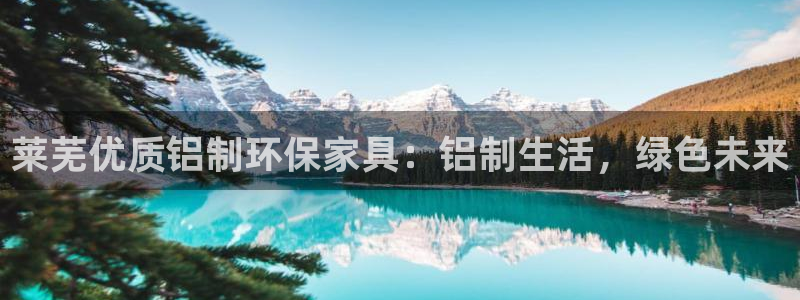 杏耀平台娱乐：莱芜优质铝制环保家具：铝制生活，绿色未来
