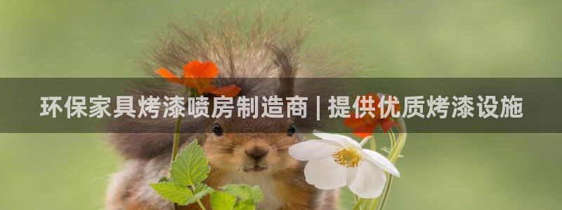杏耀平台地址：环保家具烤漆喷房制造商 | 提供优质烤漆设施