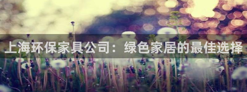 杏耀平台注册登录：上海环保家具公司：绿色家居的最佳选择