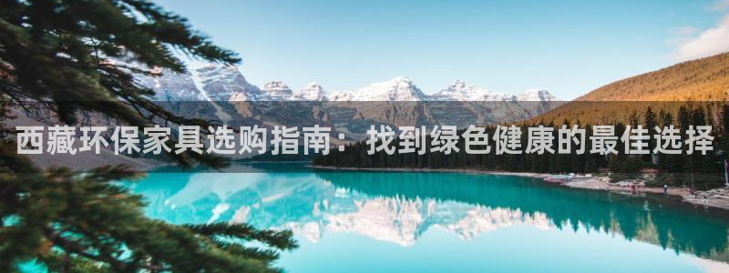杏耀如何注册：西藏环保家具选购指南：找到绿色健康的最佳选择