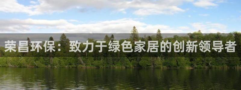 杏耀软件