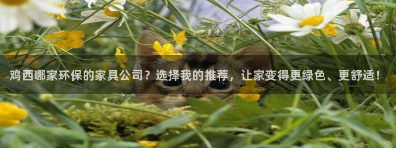 杏耀平台服务中心怎么样