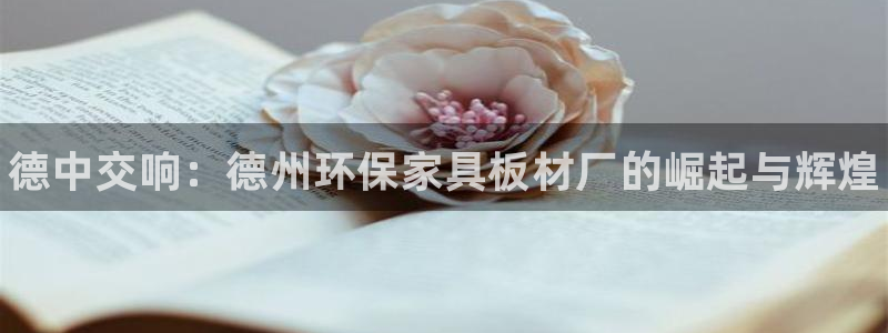 杏耀代理日工资多少：德中交响：德州环保家具板材厂的崛起与辉煌