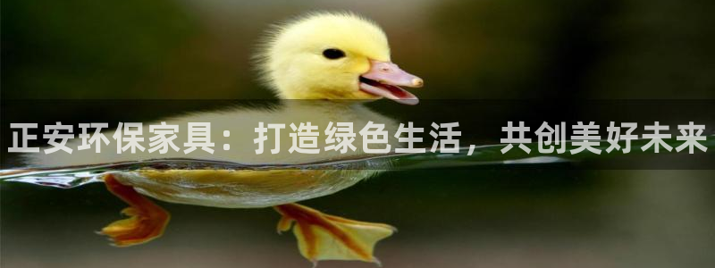 杏耀官网娱乐：正安环保家具：打造绿色生活，共创美好未来