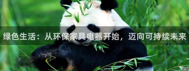 杏耀官网登陆：绿色生活：从环保家具电器开始，迈向可持续未来