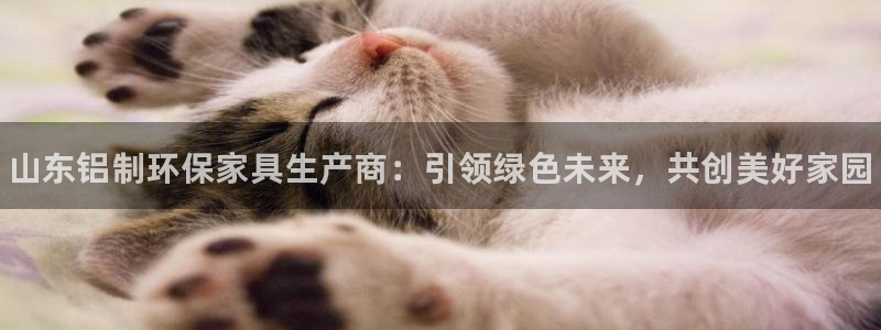 杏耀平台注册：山东铝制环保家具生产商：引领绿色未来，共创美好