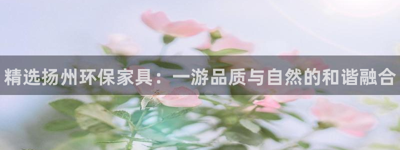 杏耀平台线路测试：精选扬州环保家具：一游品质与自然的和谐融合