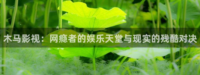 大海影视免费版