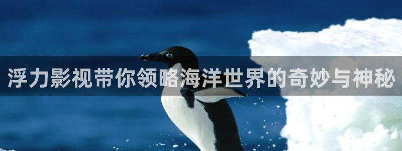 大海影视下载软件