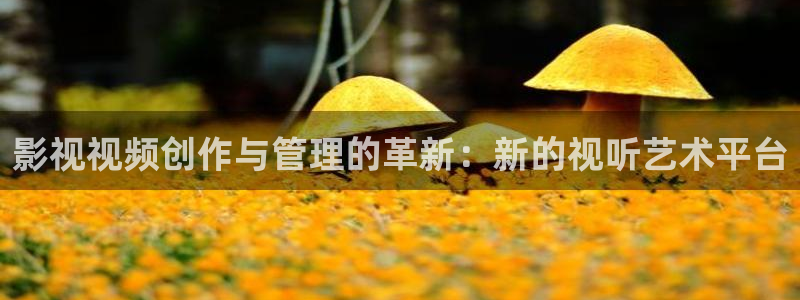 大海影视短剧