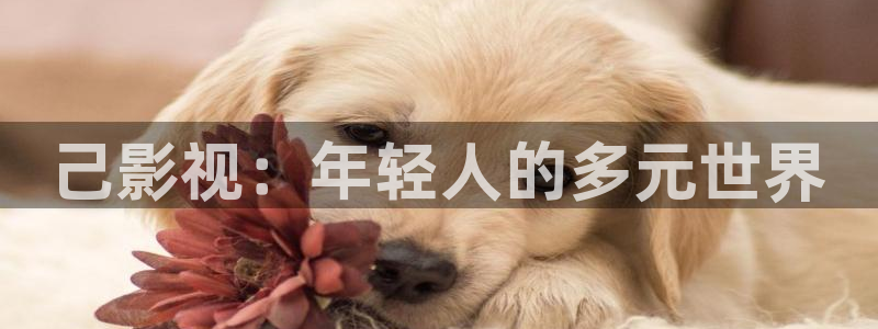大海影视下载安装