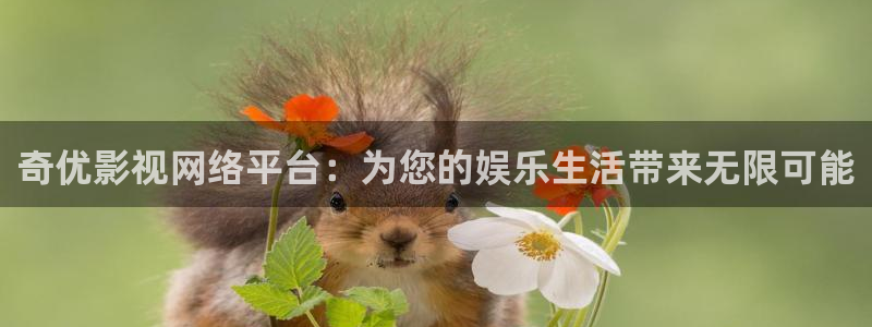 大海影视免费高清在线观看