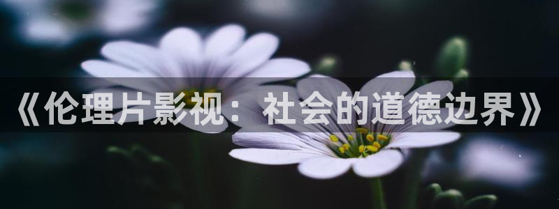 大海影院